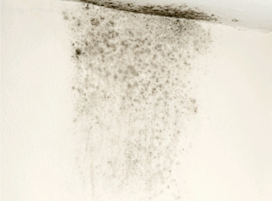 영암 주택 아파트 공장 결로검사 결로공사 시공업체