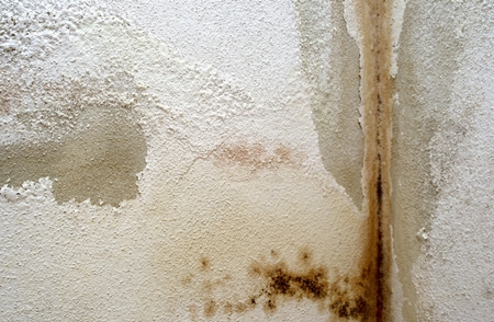 주택 결로 시공 PC 이미지 6106646