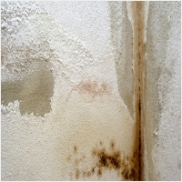 영암 주택 아파트 공장 결로검사 결로공사 시공업체-6106646