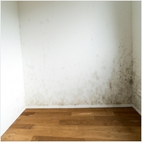 영암 주택 아파트 공장 결로검사 결로공사 시공업체-6106647