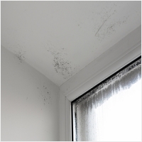 영암 주택 아파트 공장 결로검사 결로공사 시공업체-6106651